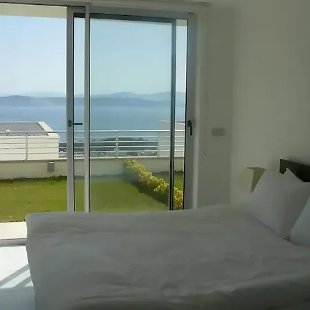 Horizon Sky Cherry 4 *